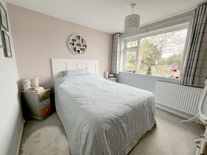 Photo 2- click for photo gallery